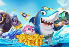 云开足球平台手机版